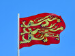 Banner of England featuring three walking yellow lions on red. It's flying in wind on a bright summer day. Selective focus