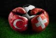 Turkey vs Switzerland Match soccer