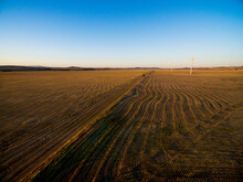 Drone Shot Of Wind Turbines In Stubble Paddock In Late Afternoon