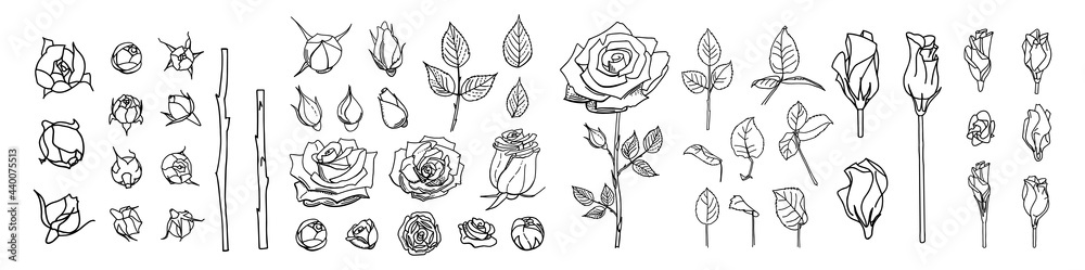 Big set of line roses and leaves. Rose bud illustration. Hand drawn flowers. Vector floral elements clipart. Perfect for decorations wedding cards, greeting cards, invitations. - obrazy, fototapety, plakaty 