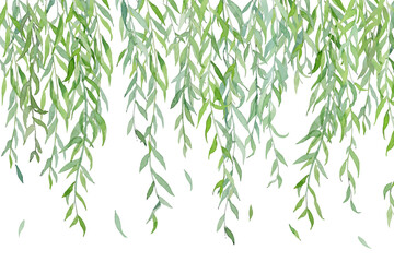 watercolor willow branches painting.