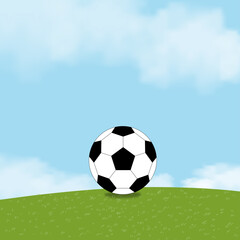 Wall Mural - Football black and white on green fields with fluffy cloud and blue sky, One Soccer ball on grass lawn.