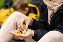 A Woman Holds Various Dried Fruits And Nuts In Her Hand. Sits On The Green Grass In The Forest. Snack During The Hike, Walk. Healthy Vegetarian Food.