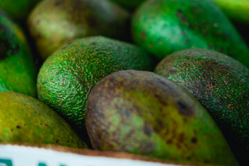 Green ripe avocados. Concept of healthy fruit also useful in cosmetics. Fresh healthy avocado on a table. Stack of avocado in grocery store. Industry of selling products. Spinning. Close up