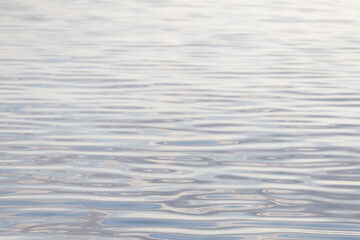 Poster - water surface with ripples. Water texture