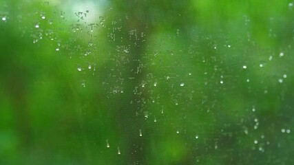 Raindrops on a mosquito net on the background of a green park with trees. Summer rain. Raining season. Trees background. Park during the rain. Raindrops on the leaves. The wind moves the leaves. 4K