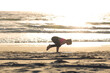 © OneInchPunch/Westend61 - Young woman balancing on hand at beach on sunny day