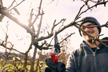 Smiling Male Farmer With Pruning Shears Cutting Bare Tree Branch