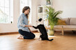 © steve brookland/Westend61 - Jack Russell Terrier shaking hand with woman kneeling on hardwood floor at home