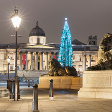 UK, England, London, Street Light Illuminating Lion Statues On Trafalgar Square At Night With Christmas Tree And National Gallery In Background