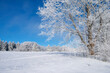 © Martin Rugner/Westend61 - Germany, Baden Wurttemberg, Zollernalb, Winter landscape with hoar frost on trees under blue sky