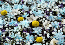A Flower Arrangement Inspired By The Starry Night. Madagascar Jasmine, Hydrangea, And Gypsophila Elegans. 