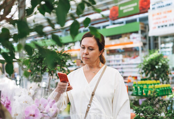 Wall Mural - Middle aged woman in white dress take photo on mobile of green potted house plants at the garden store