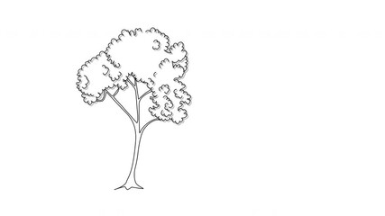 Wall Mural - Self drawing animation of red tree with leaves and autumn foliage.