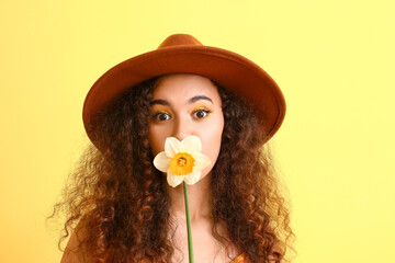 Wall Mural - Beautiful young African-American woman with narcissus on color background