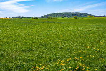 Canvas Print - Grass meadow with a hill on the horizon