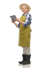 Poster - gardening, farming and old people concept - portrait of happy smiling senior woman in green garden apron, straw hat and rubber boots with tablet pc computer over white background