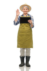 Wall Mural - gardening, farming and old people concept - portrait of happy smiling senior woman in green garden apron, straw hat and rubber boots with tablet pc computer having video call over white background