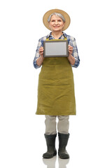 Wall Mural - gardening, farming and old people concept - portrait of happy smiling senior woman in green garden apron, straw hat and rubber boots showing tablet pc computer over white background