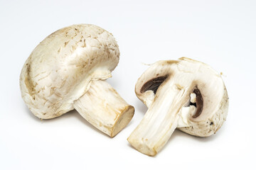 Wall Mural - Agaricus bisporus (Chompignon ) mushrooms isolated on a white background