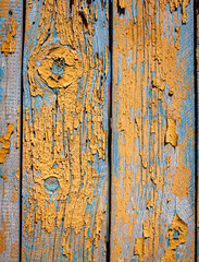 Poster - Wood texture with yellow flaked paint. Peeling paint on weathered wood. Old cracked paint pattern on rusty background. Chapped paint on an old wooden surface