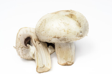 Wall Mural - Agaricus bisporus (Chompignon ) mushrooms isolated on a white background