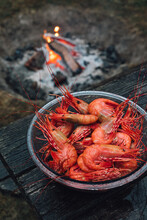 red spot prawns in a bowl by the campfire