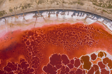 Wall Mural - Aerial view of a beautiful, crimson salt lake with a patterned surface in Altai