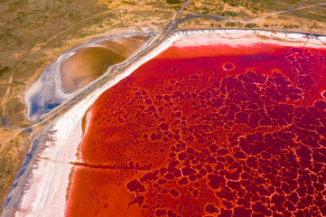 Wall Mural - Aerial view of a road amid crimson salt lake and a small yellow lake in Altai