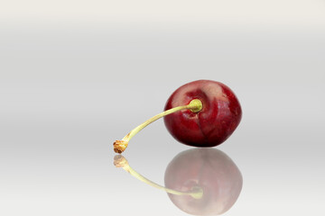 cherry on a white background