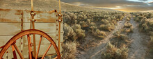 Pioneer Wagon On The Oregon Trail , USA