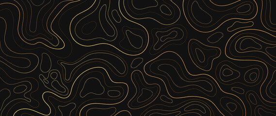 Wall Mural - luxury gold abstract line art background vector. mountain topographic map background with golden lin