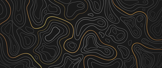 Wall Mural - luxury gold abstract line art background vector. mountain topographic map background with golden lin