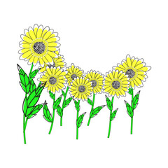 Poster - Doodle Sketch Sunflower