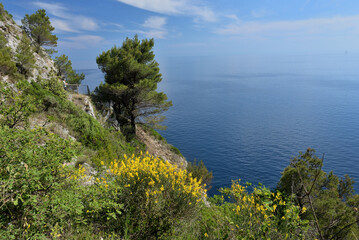 MEDITERRANEAN COAST WITH PANORAMIC VIEW IN THE ADRIATIC COAST IN CROATIA