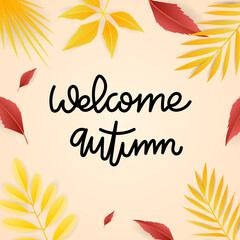 Wall Mural - Welcome Autumn with leaves and frame for text  isolated on orange background , illustration Vector EPS 10