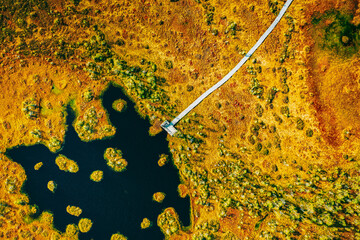 Poster - Miory District, Vitebsk Region, Belarus. The Yelnya Swamp. Aerial View Of Yelnya Nature Reserve Landscape. Narrow Wooden Hiking Trail Winding Through Marsh. Cognitive Boardwalk Trail Over A Wetland