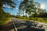 Fototapeta  - Road With Bunch Of Forest Trees At Sunrise At Countryside.