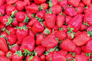 Bright red fresh organic strawberry 