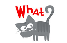 Cats Life. Comic Character. The Gray Cat Raises A Serious Question. Vector Image For Prints, Poster And Illustrations.