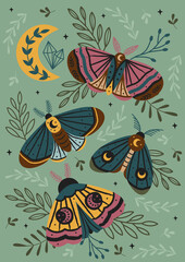 Wall Mural - magic forest poster with moth, butterfly, moon
