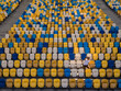 © Hennadii - A young man is cheering on an empty tribune of a football stadium
