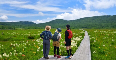 Wall Mural - 初夏の花々を楽しむハイカー
