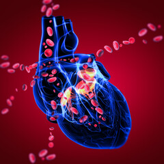 Wall Mural - 3d render Heart valve with blood cells