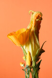 Fototapeta Londyn -  bouquet of wildflowers, yellow buds, top view, orange paper on the background.