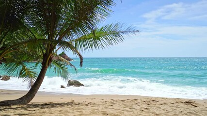 Wall Mural - Summer sea background on paradise Phuket island with a palm tree and blue sky white clouds in good weather day Paradise tropical beach sea Summer sunny day 4k background