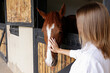 Bond between human and animal concept. Unrecognizable young woman petting a thoroughbred horse in the stable. Close up, copy space for text, background, cropped shot.