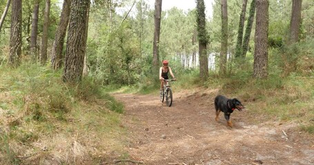 Sticker - beautiful young woman mountain biking with her dog in the forest