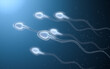 Human sperm cells, 3d rendering.
