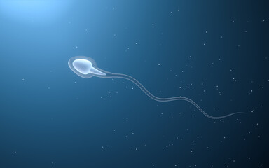 Poster - Human sperm cells, 3d rendering.